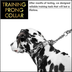 Prong Collar for Dogs by DogStuff | Pinch Collar to Train Dog Properly