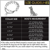 Prong Collar for Dogs by DogStuff | Pinch Collar to Train Dog Properly