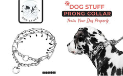 Prong Collar for Dogs by DogStuff | Pinch Collar to Train Dog Properly